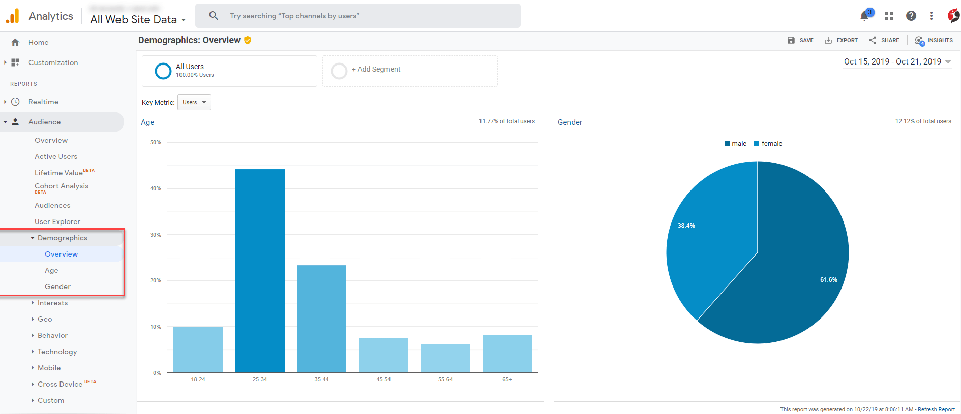 googleAnalytics_Demographics