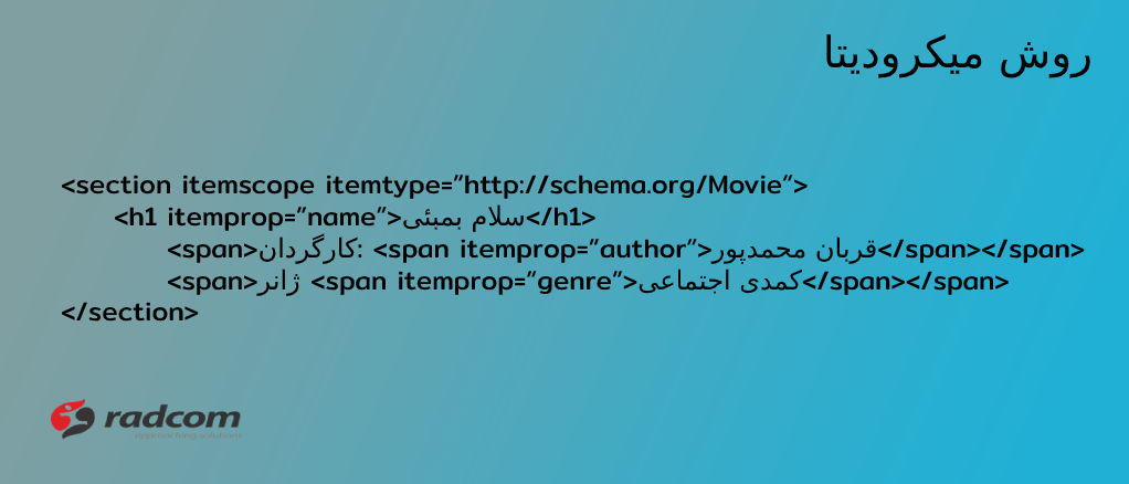 example for microdata