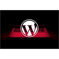 باگ امنیتی در افزونه داپلیکیتور Duplicator وردپرس و ضرورت اقدام فوری