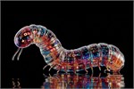 بدافزار GlassWorm بیش از ۴۳۳ مخزن و پکیج را آلوده کرد